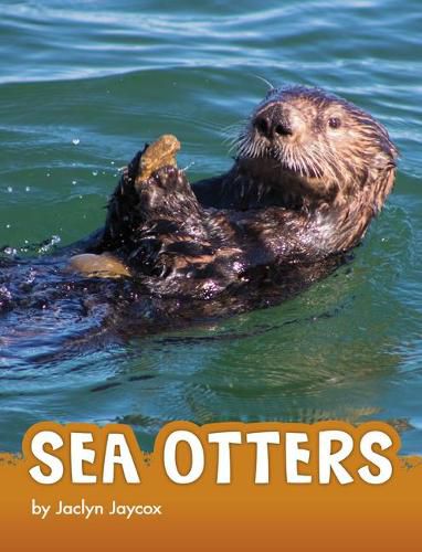 Cover image for Sea Otters