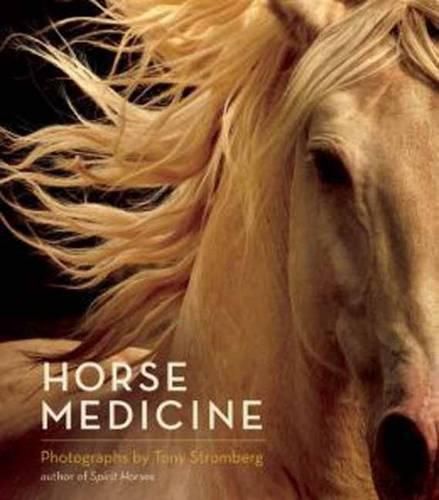 Cover image for Horse Medicine