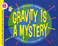 Cover image for Gravity Is a Mystery