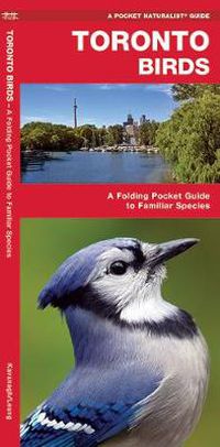 Cover image for Toronto Birds: A Folding Pocket Guide to Familiar Species