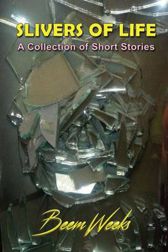 Cover image for Slivers of Life: A Collection of Short Stories