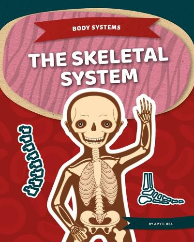 The Skeletal System