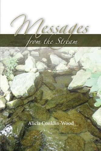 Cover image for Messages from the Stream