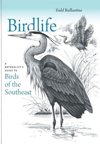 Cover image for Birdlife: A Naturalist's Guide to Birds of the Southeast