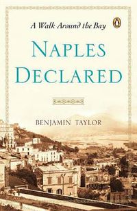 Cover image for Naples Declared: A Walk Around the Bay