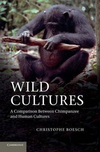 Cover image for Wild Cultures: A Comparison between Chimpanzee and Human Cultures