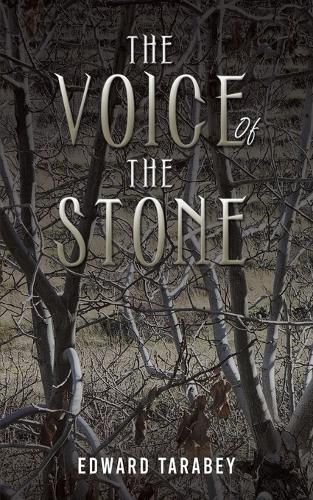 Cover image for The Voice of the Stone