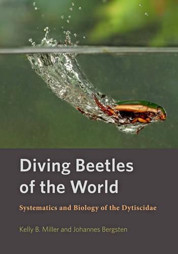 Cover image for Diving Beetles of the World: Systematics and Biology of the Dytiscidae