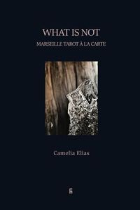 Cover image for What is not: Marseille Tarot a la carte