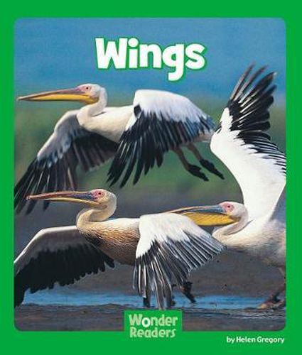 Cover image for Wings