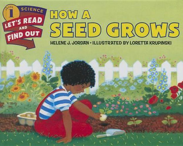 Cover image for How a Seed Grows