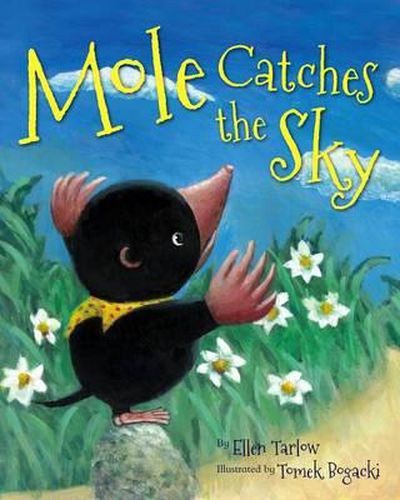 Cover image for Mole Catches the Sky