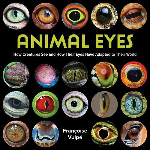 Cover image for Animal Eyes