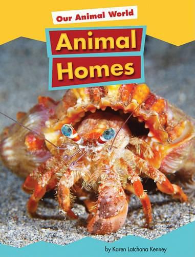 Cover image for Animal Homes