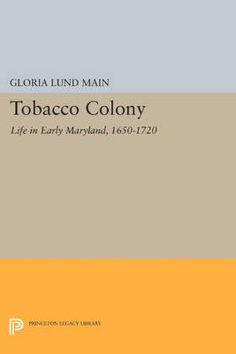 Cover image for Tobacco Colony: Life in Early Maryland, 1650-1720