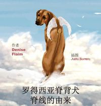 Cover image for &#32599;&#24471;&#35199;&#20122;&#33034;&#32972;&#29356;&#33034;&#32447;&#30340;&#30001;&#26469;