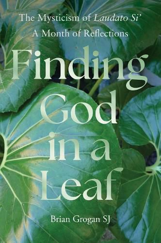 Cover image for Finding God in a Leaf: The Mysticism of Laudato Si