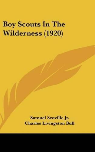 Cover image for Boy Scouts in the Wilderness (1920)