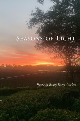 Cover image for Seasons of Light