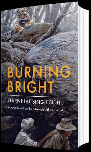 Cover image for Burning Bright: Irom Sharmila and the Struggle for Peace in Manipur