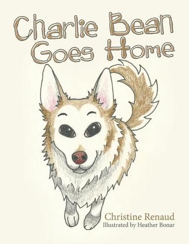 Cover image for Charlie Bean Goes Home