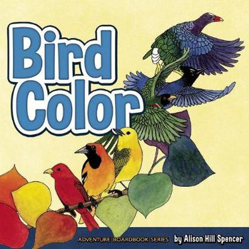 Cover image for Bird Color