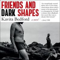 Cover image for Friends & Dark Shapes