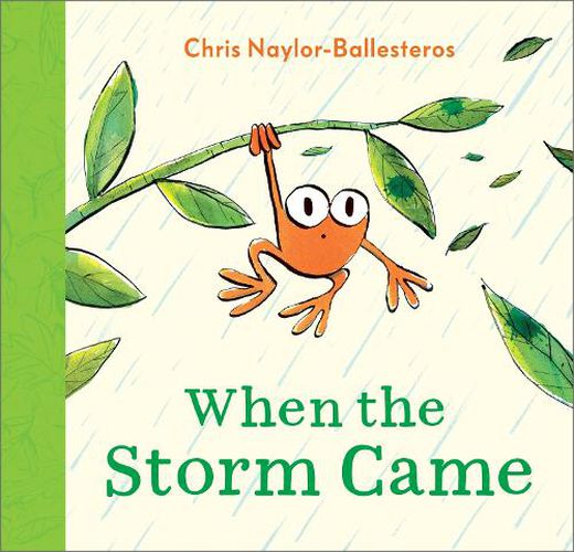Cover image for When the Storm Came