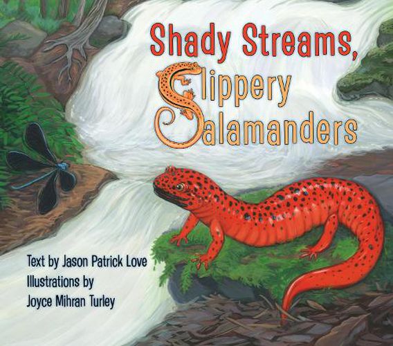 Cover image for Shady Streams, Slippery Salamanders