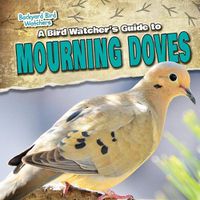 Cover image for A Bird Watcher's Guide to Mourning Doves