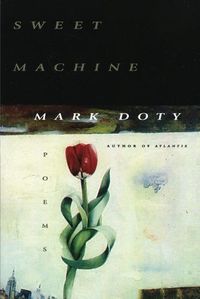 Cover image for Sweet Machine