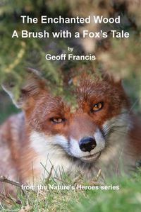 Cover image for Enchanted Wood - Brush of a Fox's Tale