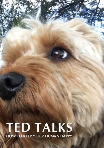 Cover image for Ted Talks