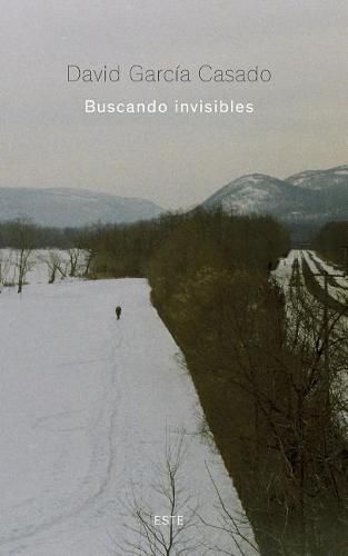 Cover image for Buscando Invisibles