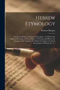 Cover image for Hebrew Etymology