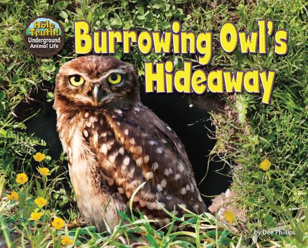 Cover image for Burrowing Owl's Hideaway