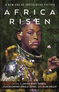 Cover image for Africa Risen