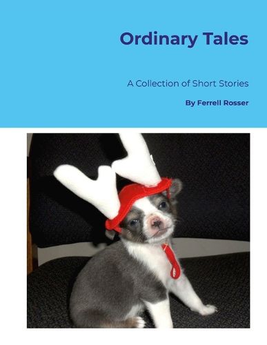 Cover image for Ordinary Tales