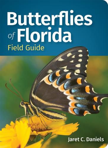 Cover image for Butterflies of Florida Field Guide