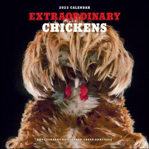 Cover image for Extraordinary Chickens 2023 Wall Calendar