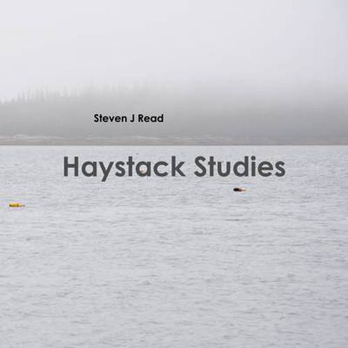 Cover image for Haystack Studies
