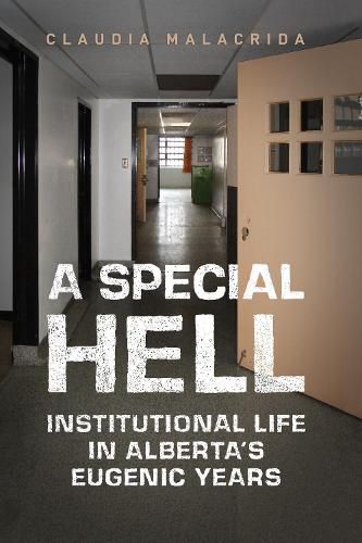 Cover image for A Special Hell: Institutional Life in Alberta's Eugenic Years