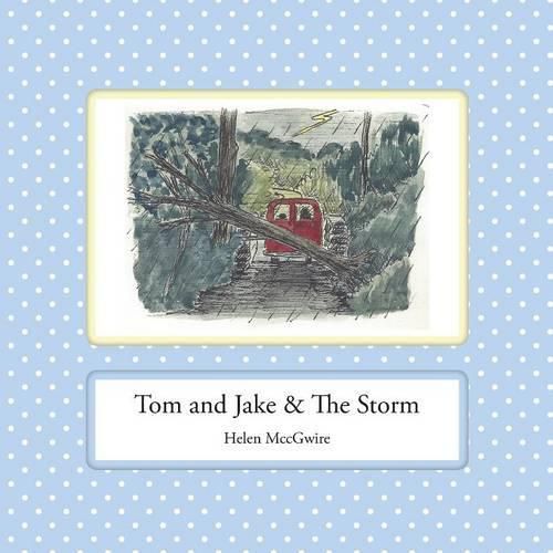 Cover image for Tom and Jake & the Storm