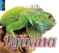 Cover image for Iguana