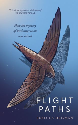 Cover image for Flight Paths