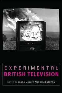 Cover image for Experimental British Television