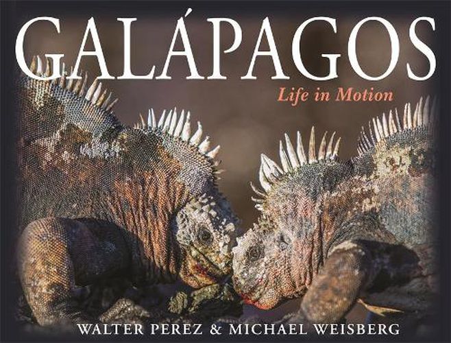 Cover image for Galapagos: Life in Motion