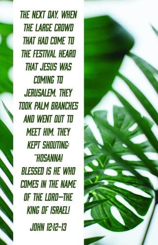 Cover image for Blessed Is the King of Israel Bulletin (Pkg 100) Palm Sunday