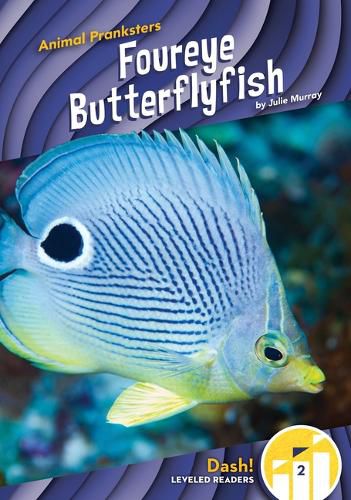 Cover image for Foureye Butterflyfish