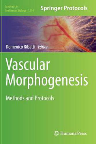 Cover image for Vascular Morphogenesis: Methods and Protocols